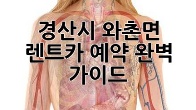 경산시 와촌면 렌트카 예약 완벽 가이드!
