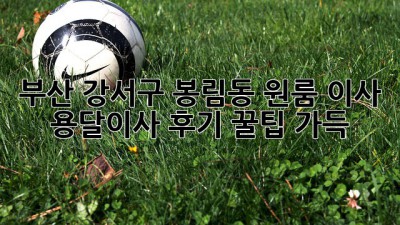 부산 강서구 봉림동 원룸 이사, 용달이사 후기: 꿀팁 가득!